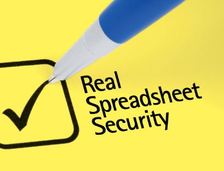 Real spreadsheet security tick